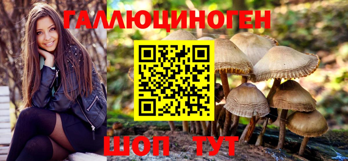 Галлюциногенные грибы Cubensis Севастополь